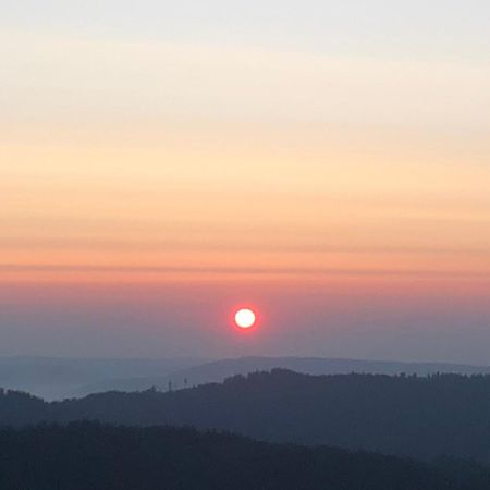 Forest Apartment-Mountain Escape Menzenschwand ザンクト・ブラージエン エクステリア 写真
