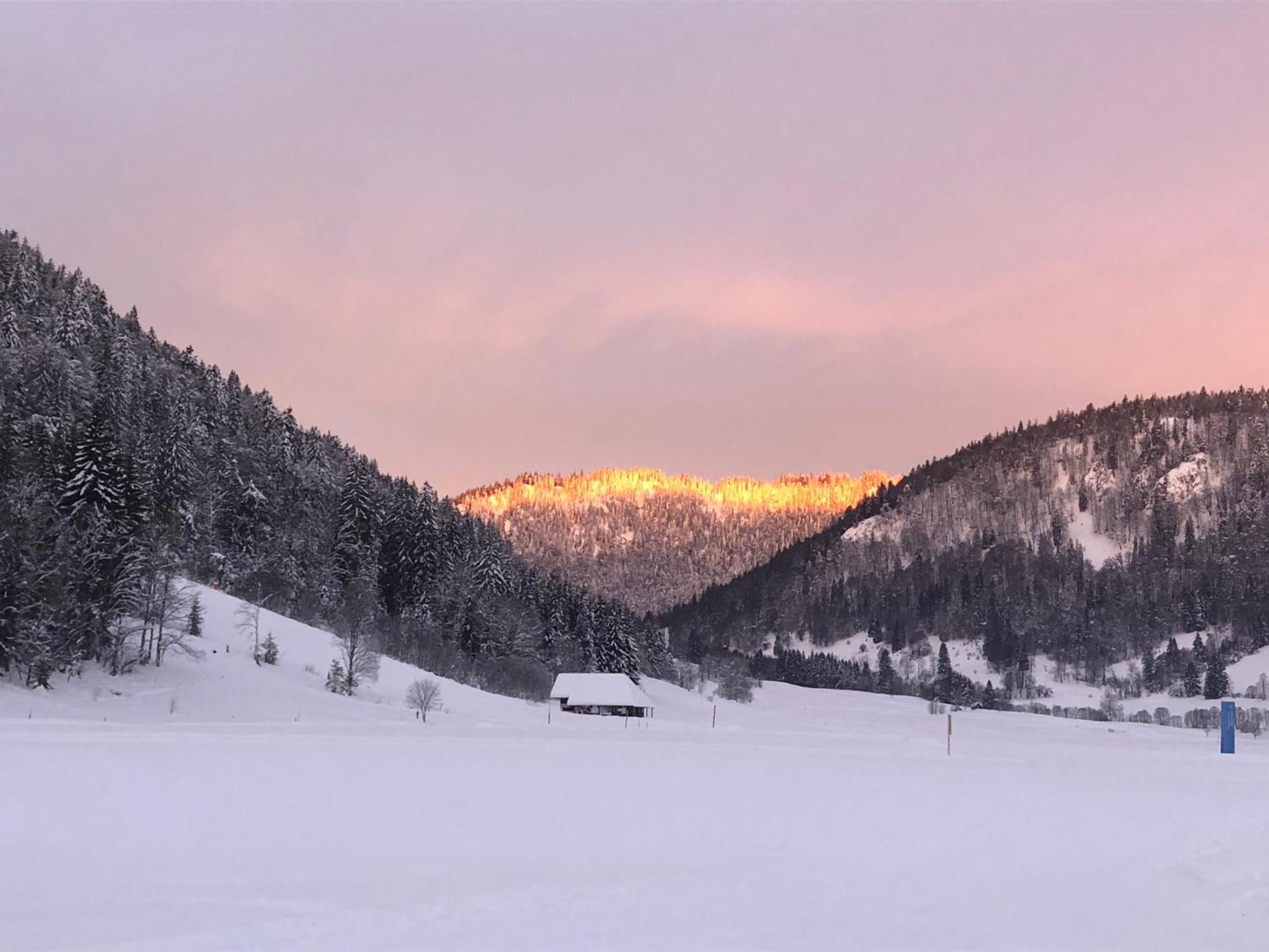 Forest Apartment-Mountain Escape Menzenschwand ザンクト・ブラージエン エクステリア 写真