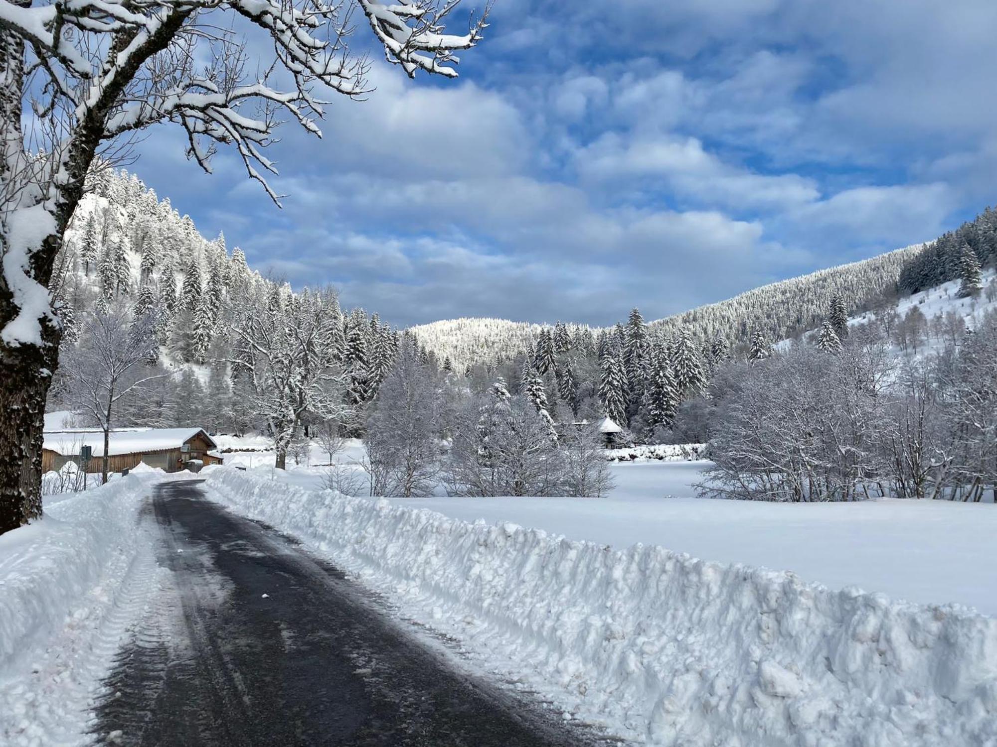 Forest Apartment-Mountain Escape Menzenschwand ザンクト・ブラージエン エクステリア 写真